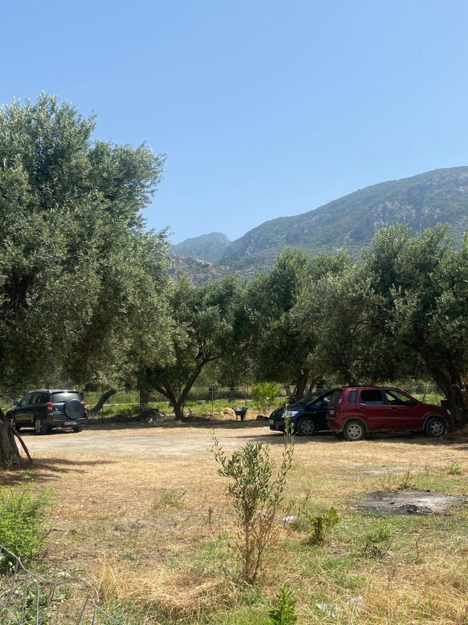 Irini'S Guesthouse Qeparo Exterior photo